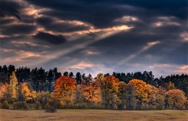 Jesienne Klimaty © Wojciech Lisiński