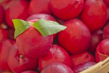 Nectarine Farmers Market