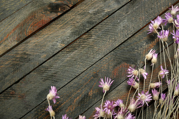 Beautiful wild flowers on wooden background
