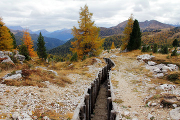 Schützengraben aus dem Ersten Weltkrieg im Gebirge in Italien