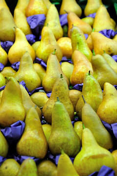 Boac pear on a shelf