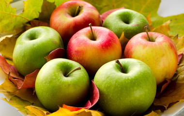 Red and green apples with autumn maple leaves