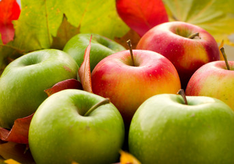 Red and green apples with autumn maple leaves