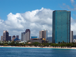 Fototapeta premium Ala Moana Beach Park with office building and condos in the back