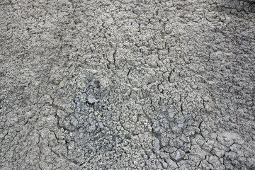 Abstract texture of cracked dry white dirt