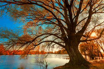Fototapeta premium landscape sunset on the river