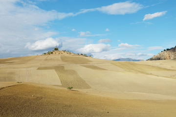 Panorama campagna 