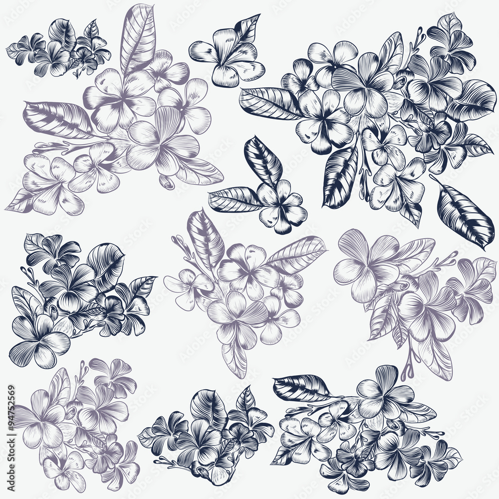 Poster set of vector hand drawn flowers for invitation designs patterns