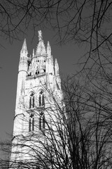 Bordeaux (Gironde)
