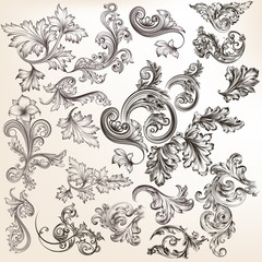Fototapeta premium Vector set of floral elements for design. Calligraphic vector