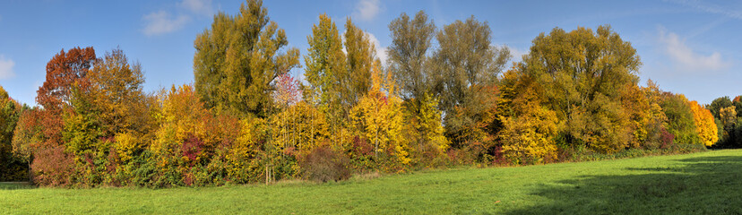 Obraz premium Herbst