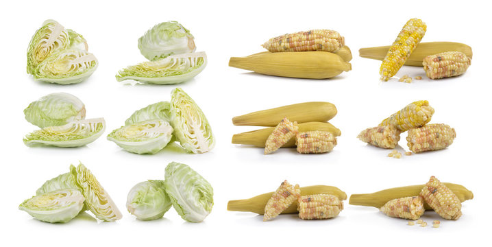  Cabbage and corn on white background