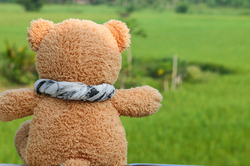 teddy bear is relaxing