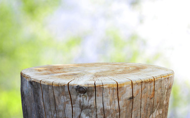 Trunk