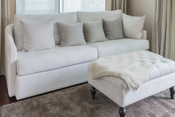 classic sofa style with pillows on carpet