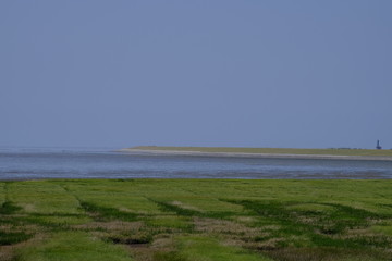 Zwischen Deich und Watt im Nationalpark Niedersächsisches Watte