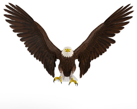 eagle front landing