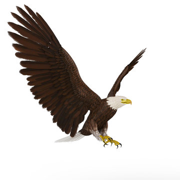 eagle landing