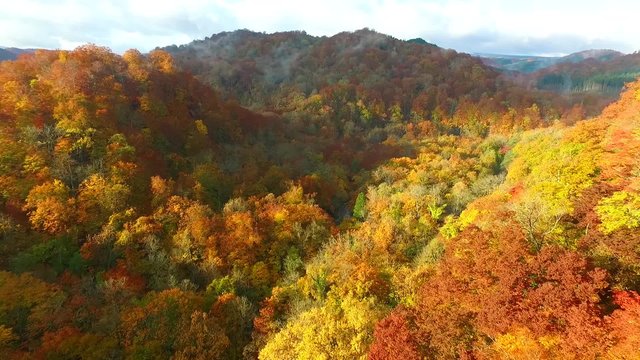 奥入瀬渓流の紅葉　/ 左移動の映像です