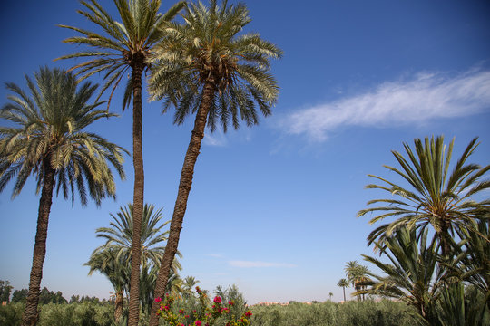 Le Maroc