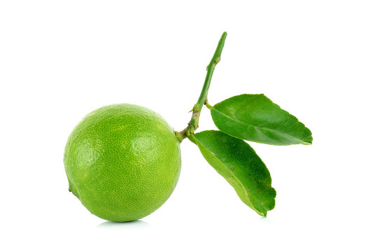 Fresh lime isolated on the white background