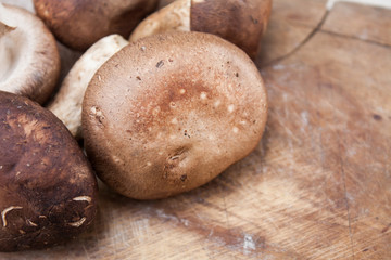 Shiitake mushrooms on wood background
