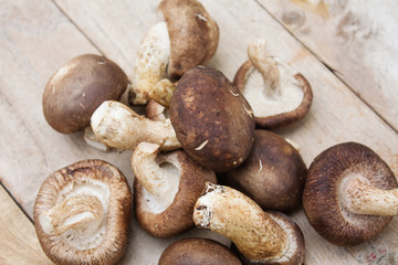 Shiitake mushrooms on wood background