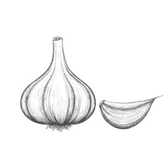 vegetable garlic
