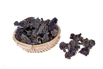 Black fungus, close-up