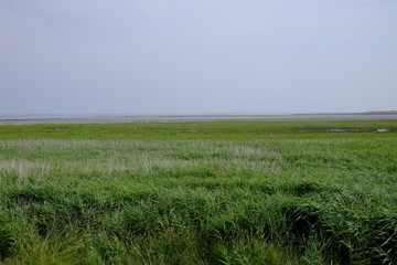 Zwischen Deich und Watt im Nationalpark Niedersächsisches Watte