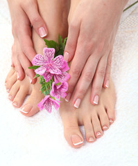 Fototapeta premium Closeup photo of a beautiful female feet with pedicure
