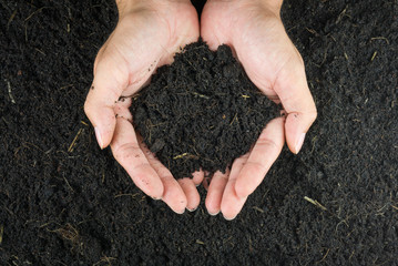 Hand of men holding soil in agricultural fielden