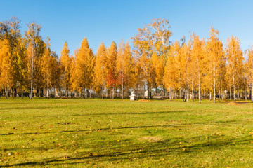 Осенний пейзаж