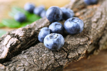 Fresh blueberries with tree on wooden table, closeup