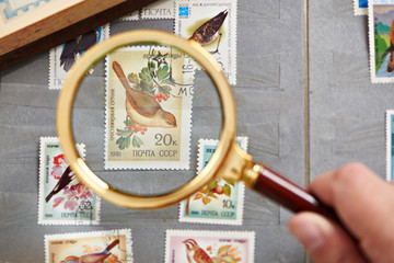Postage stamp with birds under magnifier on album - obrazy, fototapety, plakaty