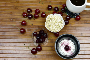 Probiotic Greek Style Yogurt