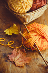 Autumn Knitting, knitting needles and yarn in autumn colors

