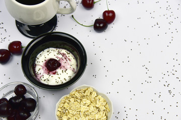 Probiotic Greek Style Yogurt