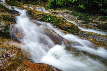Beautiful river stream in tropical forest