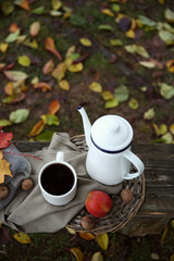 Old wooden bench with teapot,fruits and nuts, outdoor