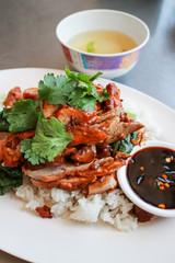 Rice with roast duck. BBQ Roast Duck over Rice