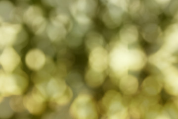 Obraz premium greenl natural bokeh light for background