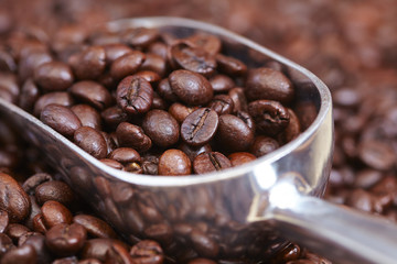 coffee beans