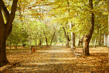 Vintage photo of autumn park