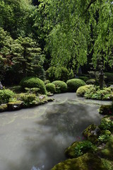 日本庭園／山形県鶴岡市で、美しい日本庭園を撮影した写真です。