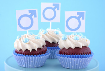 International Mens Day Cupcakes with Male Symbols.