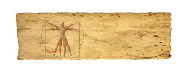 Conceptual vitruvian human body drawing on old paper background