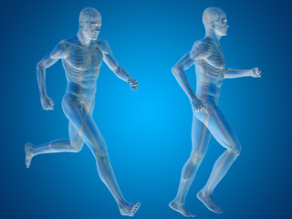 Conceptual man or human 3D anatomy or body on blue