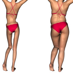 Conceptual 3D woman as fat vs anorexic before and after