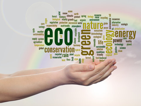 Conceptual ecology word cloud over rainbow